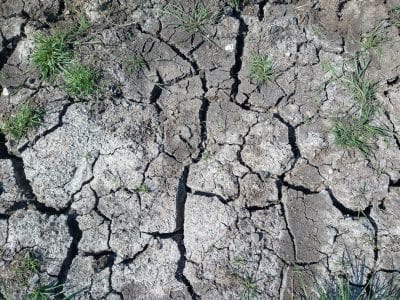 droogte april
